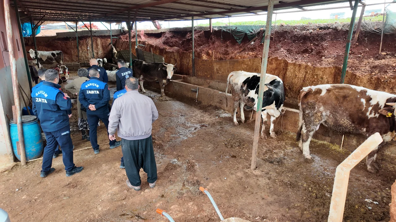 Çarkıpare Mahallesi’nde Hayvancılık Alanları Taşınıyor
